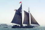 Alma, flat-bottomed scow schooner, National Historic Landmark, San Francisco Maritime National Historical Park , TSTV01P11_19B