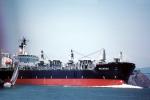 Wilmona, Singa Wilmona-91, Oil Tanker, TSWV01P04_16