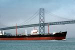 LIon of California, Oil Tanker, San Francisco Oakland Bay Bridge, IMO: 5116957, TSWV02P03_08