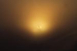 Early Morning Sun, Fog, UHID01_016