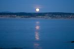 Monterey Bay, Moon Reflection, UPFD01_010