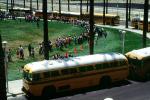 Students waiting in line, children, kids, palm trees, lawn, buses, VBSV02P14_10