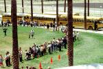 Students waiting in line, children, kids, palm trees, lawn, buses, VBSV02P14_14