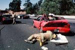 Interstate Highway I-80, Pinole, California, Car Accident, Auto, Automobile, VCAV03P04_10