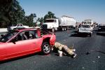 Interstate Highway I-80, Pinole, California, Car Accident, Auto, Automobile, VCAV03P04_11