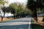Highway, Roadway, Tree lined road, VCRV04P07_05
