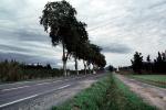 Tree Lined Road, Street, Highway, Valmy, Roadway, Road, VCRV07P06_16