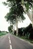 Tree Lined Road, Street, Highway, Valmy, Roadway, Road, VCRV07P06_17