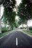 Tree Lined Road, Street, Highway, Valmy, Roadway, Road, VCRV07P06_18