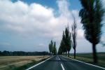 Tree lined Road, Teplice, Highway, Roadway, Road, VCRV08P01_17