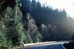 curve, trees, Road, Roadway, Highway 138, VCRV10P07_16