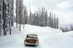 Dodge in the Snow, Car, Road, Trees, Forest, Winter, 1950s, VCRV22P08_19