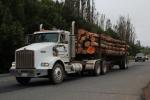 Kenworth Semi Cab Logging Truck, VCTD03_244