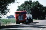 Panella, International, Tomato Truck, Sacramento River Delta, farm products bulk carrier, VCTV01P13_16