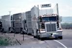 Peterbilt, cattle truck, west central Wyoming, Highway 191, Semi-trailer truck, Semi, VCTV02P06_15