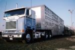 cattle, Semi Trailer Truck, Cabover, VCTV04P14_11