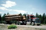 Kenworth, Logging Truck, Semi, Chester, Plumas County, VCTV05P09_12