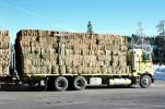 Hay Truck, Semi Trailer Truck, cabover, VCTV05P10_18