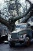Russian Truck, wet, rain, tree, VCTV06P05_16