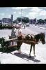 Bridgetown, Barbados, 1950s, VHCV01P02_10