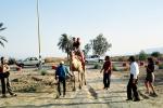 Girls Riding a Camel, Lido, Dead Sea, VHDV01P02_17