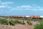Southern Pacific, Piggyback Rail Container, Southern New Mexico, USA, intermodal, 9 May 1994, VRFV03P12_09.3291