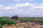 SP 8362, SP 7379, SP 8336, Southern Pacific, Diesel Locomotive, southern New Mexico, USA, VRFV03P12_11