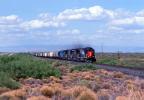 SP 8362, SP 7379, SP 8336, Southern Pacific, Diesel Locomotives, southern New Mexico, USA, VRFV03P12_12