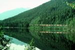 Reflection, River, Lake, Forest, VRFV07P01_04