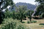 Feather River Railway, 1963, trees, forest, woodland, Oroville, 1960s, VRPV05P03_12