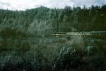 Alaska Railroad, W P & Y R, White Pass & Yukon Route, VRPV05P15_09