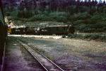 73, near Skagway, Alaska Railroad, W P & Y R, White Pass & Yukon Route, 1960s, VRPV05P15_11
