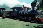 LI&PRR, ANAKA, Pineapple Train, Engine # 1, Lahaina Kaanapali & Pacific Railroad, narrow gauge 2-4-0, Lahaina, 1950s, VRPV07P06_14