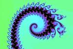 Octopus Arm, Pretty Spiral, Spiral, WFMV01P09_03