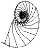 spiral, Nautilus Shell, WFNV01P02_17