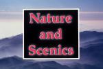 Nature and Scenics Title, WGTV02P05_17