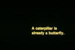 A caterpillar is already a butterfly, WGTV02P11_01